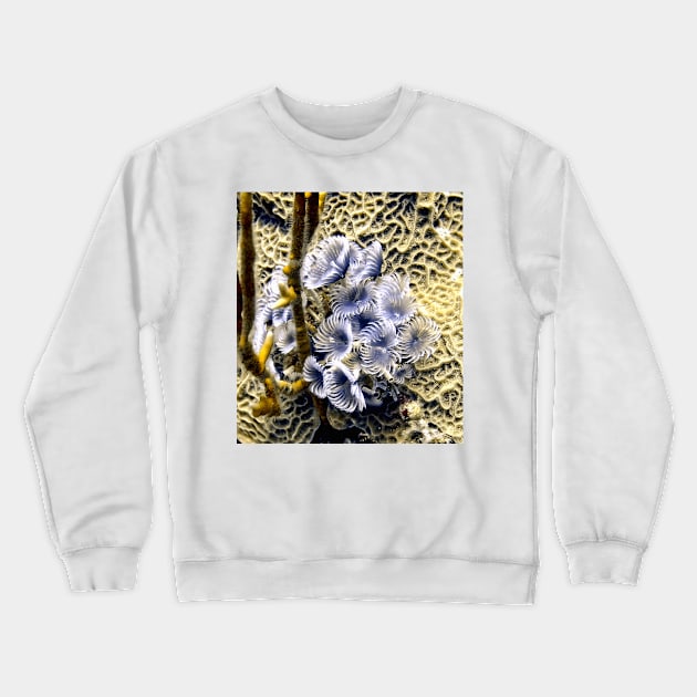 Underwater Feather Flowers Crewneck Sweatshirt by Scubagirlamy